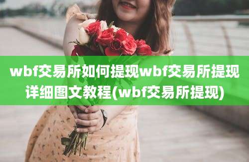 wbf交易所如何提现wbf交易所提现详细图文教程(wbf交易所提现)