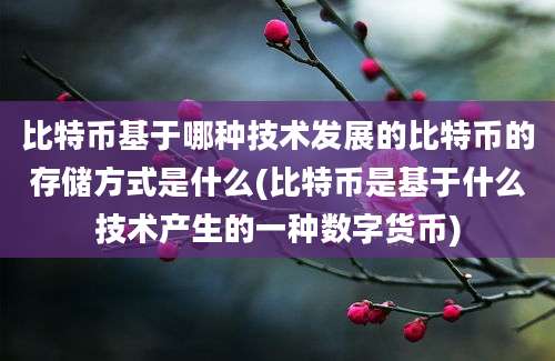 比特币基于哪种技术发展的比特币的存储方式是什么(比特币是基于什么技术产生的一种数字货币)