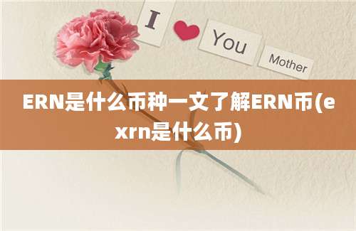 ERN是什么币种一文了解ERN币(exrn是什么币)