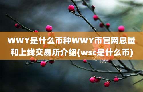 WWY是什么币种WWY币官网总量和上线交易所介绍(wsc是什么币)