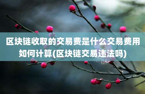 区块链收取的交易费是什么交易费用如何计算(区块链交易违法吗)