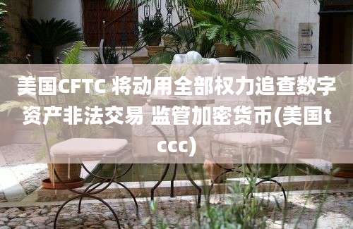 美国CFTC 将动用全部权力追查数字资产非法交易 监管加密货币(美国tccc)