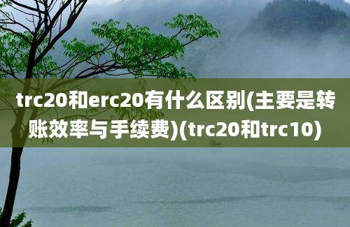 trc20和erc20有什么区别(主要是转账效率与手续费)(trc20和trc10)