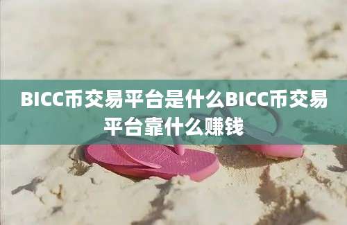 BICC币交易平台是什么BICC币交易平台靠什么赚钱