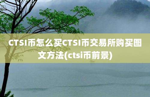 CTSI币怎么买CTSI币交易所购买图文方法(ctsi币前景)