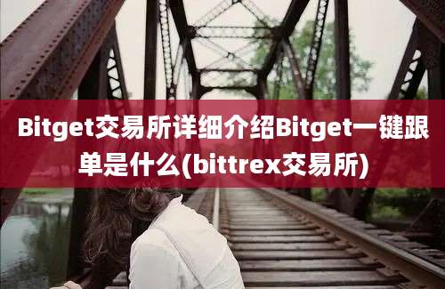 Bitget交易所详细介绍Bitget一键跟单是什么(bittrex交易所)