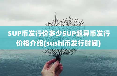 SUP币发行价多少SUP超导币发行价格介绍(sushi币发行时间)