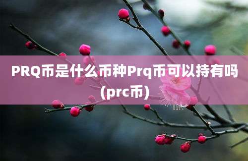 PRQ币是什么币种Prq币可以持有吗(prc币)