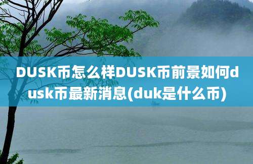 DUSK币怎么样DUSK币前景如何dusk币最新消息(duk是什么币)