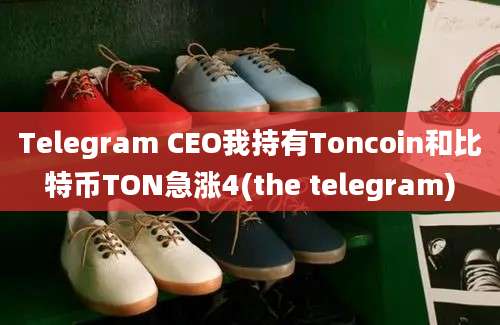 Telegram CEO我持有Toncoin和比特币TON急涨4(the telegram)