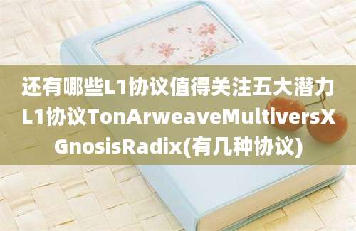 还有哪些L1协议值得关注五大潜力L1协议TonArweaveMultiversXGnosisRadix(有几种协议)