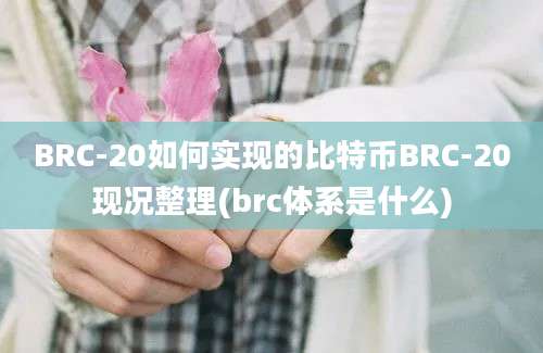 BRC-20如何实现的比特币BRC-20现况整理(brc体系是什么)