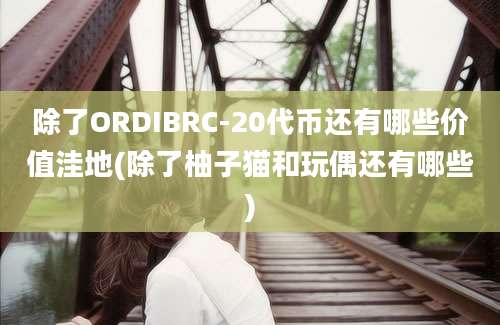 除了ORDIBRC-20代币还有哪些价值洼地(除了柚子猫和玩偶还有哪些)