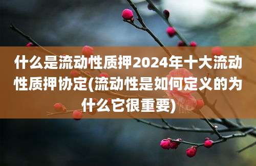 什么是流动性质押2024年十大流动性质押协定(流动性是如何定义的为什么它很重要)