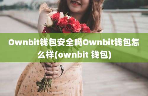 Ownbit钱包安全吗Ownbit钱包怎么样(ownbit 钱包)