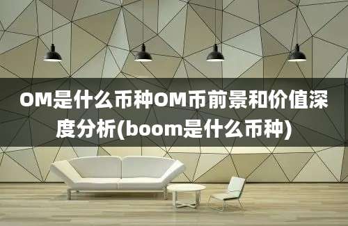 OM是什么币种OM币前景和价值深度分析(boom是什么币种)