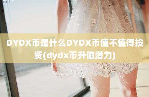 DYDX币是什么DYDX币值不值得投资(dydx币升值潜力)