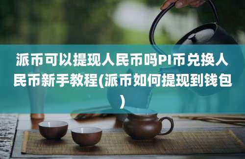 派币可以提现人民币吗PI币兑换人民币新手教程(派币如何提现到钱包)