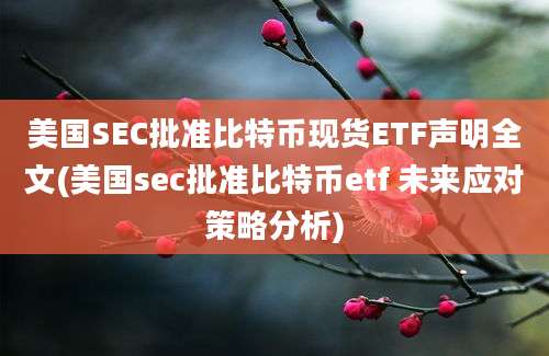 美国SEC批准比特币现货ETF声明全文(美国sec批准比特币etf 未来应对策略分析)