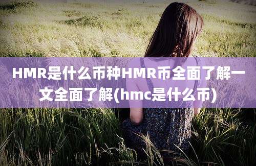 HMR是什么币种HMR币全面了解一文全面了解(hmc是什么币)