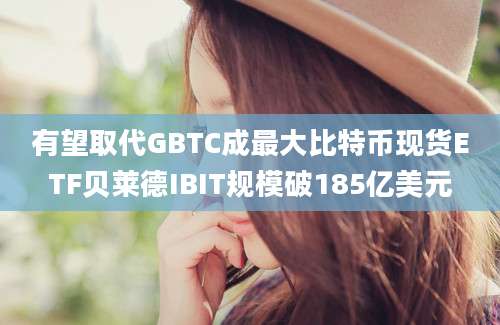 有望取代GBTC成最大比特币现货ETF贝莱德IBIT规模破185亿美元