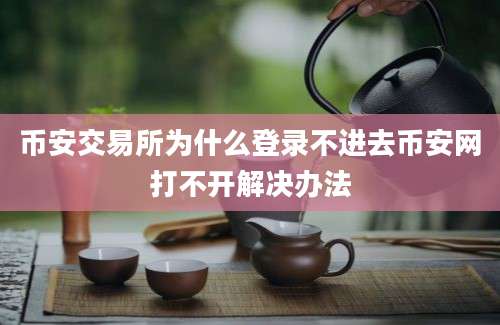 币安交易所为什么登录不进去币安网打不开解决办法