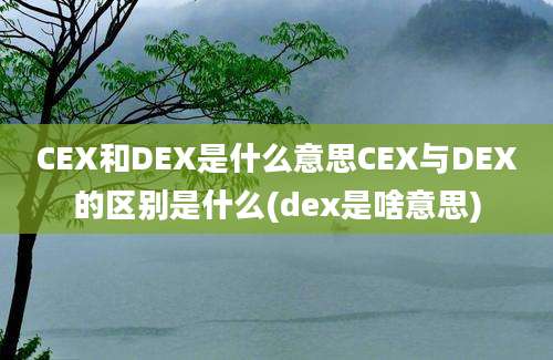 CEX和DEX是什么意思CEX与DEX的区别是什么(dex是啥意思)