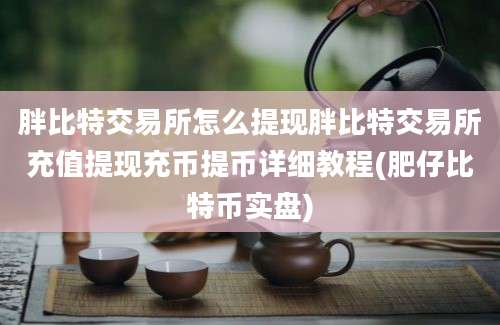 胖比特交易所怎么提现胖比特交易所充值提现充币提币详细教程(肥仔比特币实盘)