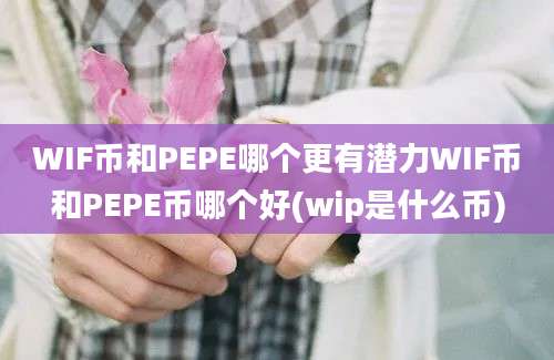 WIF币和PEPE哪个更有潜力WIF币和PEPE币哪个好(wip是什么币)